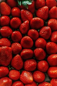  cultivos con más rentabilidad en España_fresas_frutos_rojos
